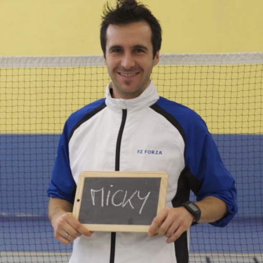 Mickaël Houdet